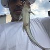 mrhill253