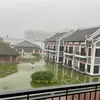 thanhhieu_2k