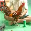 hien_long_xuyen