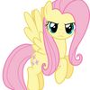 flutterguy225