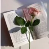 user23331246085206