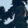 user7lx2ovs0ex