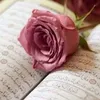 salm0407