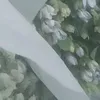 hey siri