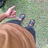 ways303