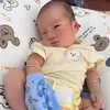 lc.ng495