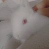_gunes_2677