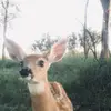 elenanabananaaa