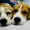 noonehere.com3