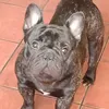 gege_et_son_boubou