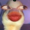 rnynta2