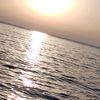 user239220194018
