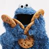 the_random_cookie_guy