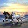 user9ttdn1p6ok