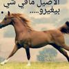 al3rab34
