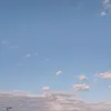 holii_holii