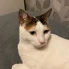 victoriateasdale1