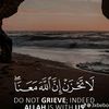 user66h3qhi7fe