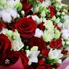 user3119052617683