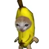 .wwijdane