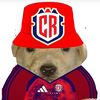 brocolee06