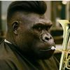 ludu_el_banda
