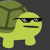 wizard_turt