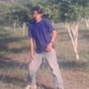 c.a.t.2001.e