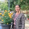 phouvanthong