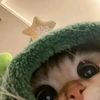 sam.lu925