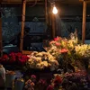lsoon_2509