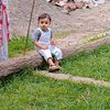 arham43227