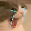carotcutephomaique5
