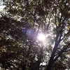 mimi_18_5