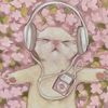 qaii.__5