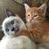 ssssmile0627
