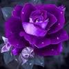 nguyenphuongcham92
