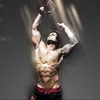 giatos_katze