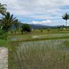 riduaneffendi01