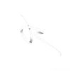 rn_cv