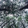 gill_why1603