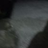 bayangin_wajah_whalid