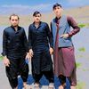 habibminawal2