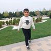 amin_2013_0