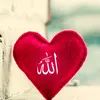 chsalmangujjar786786