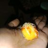 imaaw23