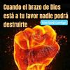 elviscastillo632