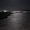 ftmvrm