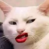 bi_hack