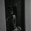 she_logie